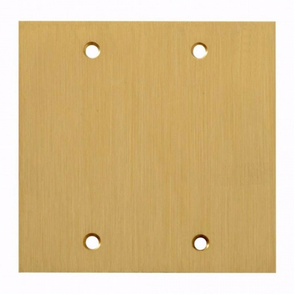 Espelho Placa Para Piso Latão Dourado 4x4 Cego Elétrica Bichuette