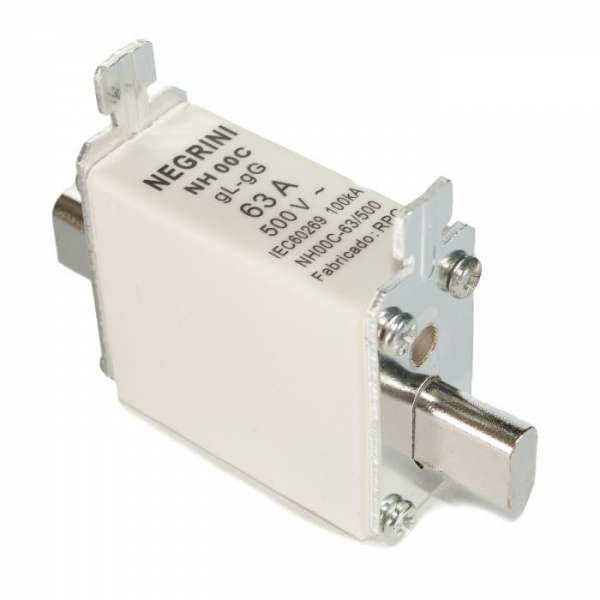 Fusível Retardado NH00 63 A gG Elétrica Bichuette