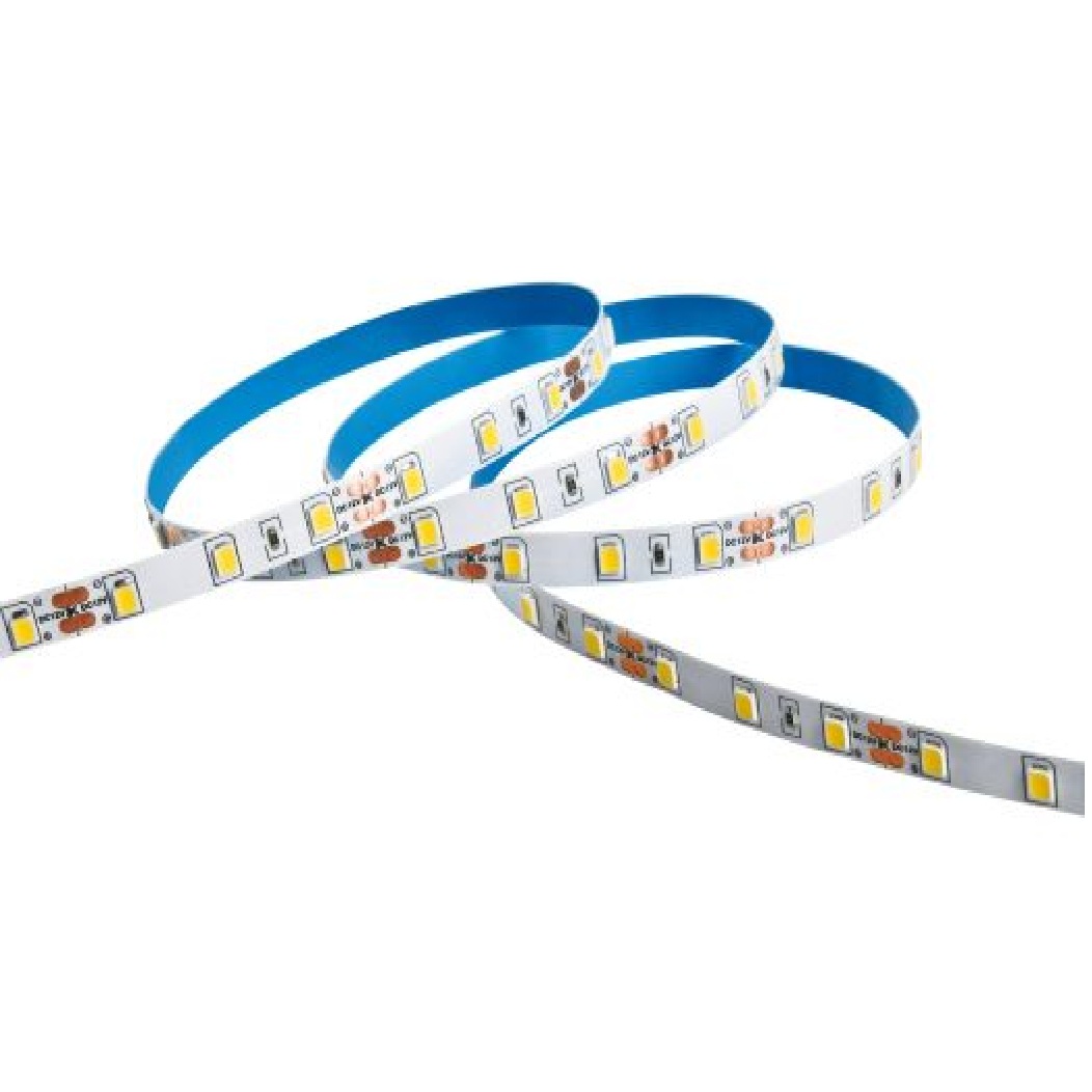 Fita LED SMD 2835 IP20 7 W/m 12 V 6500 K Rolo 5 m 05757 Ourolux