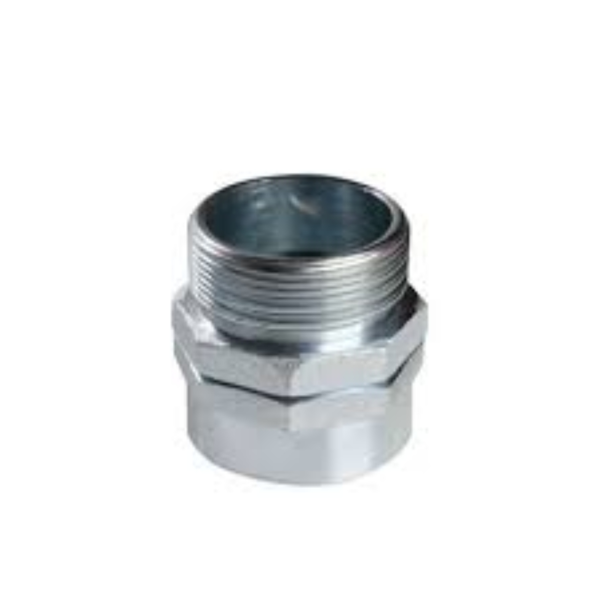 Conector Macho Giratório para Sealtubo 3 pol. Elétrica Bichuette