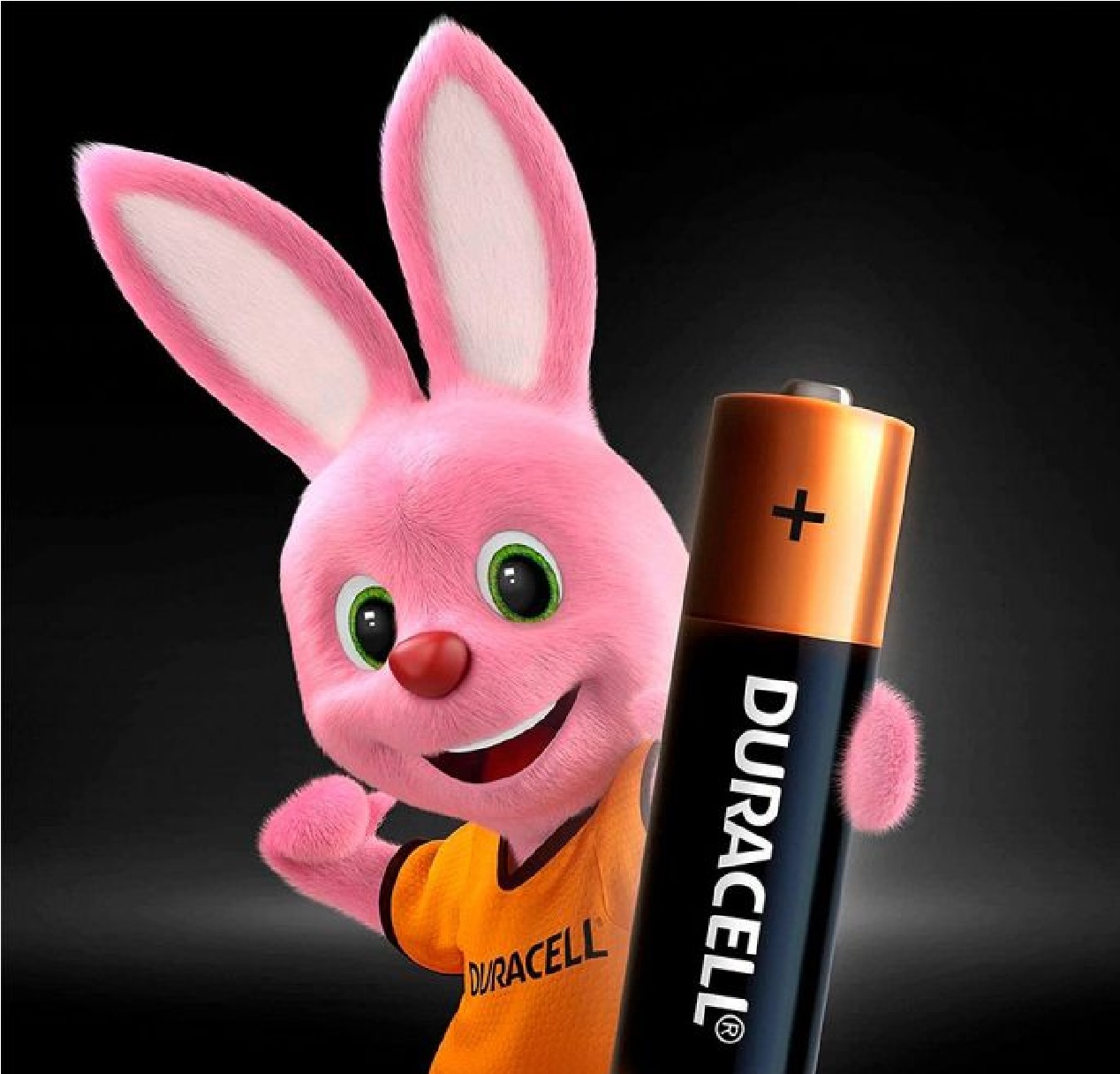 Pilha Alcalina AAA, com 2 Unidades Duracell