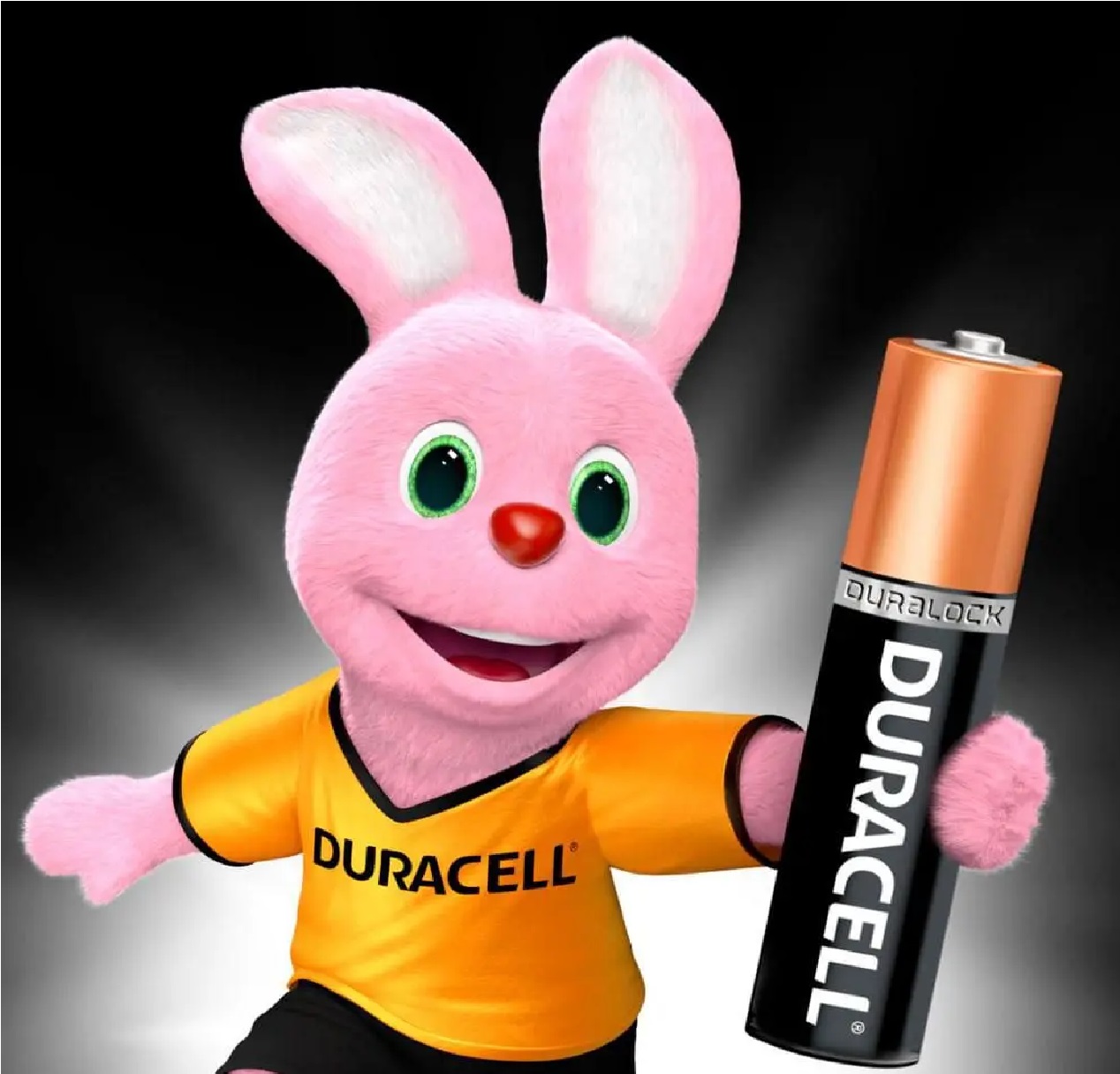 Pilha Alcalina AAA, com 2 Unidades Duracell