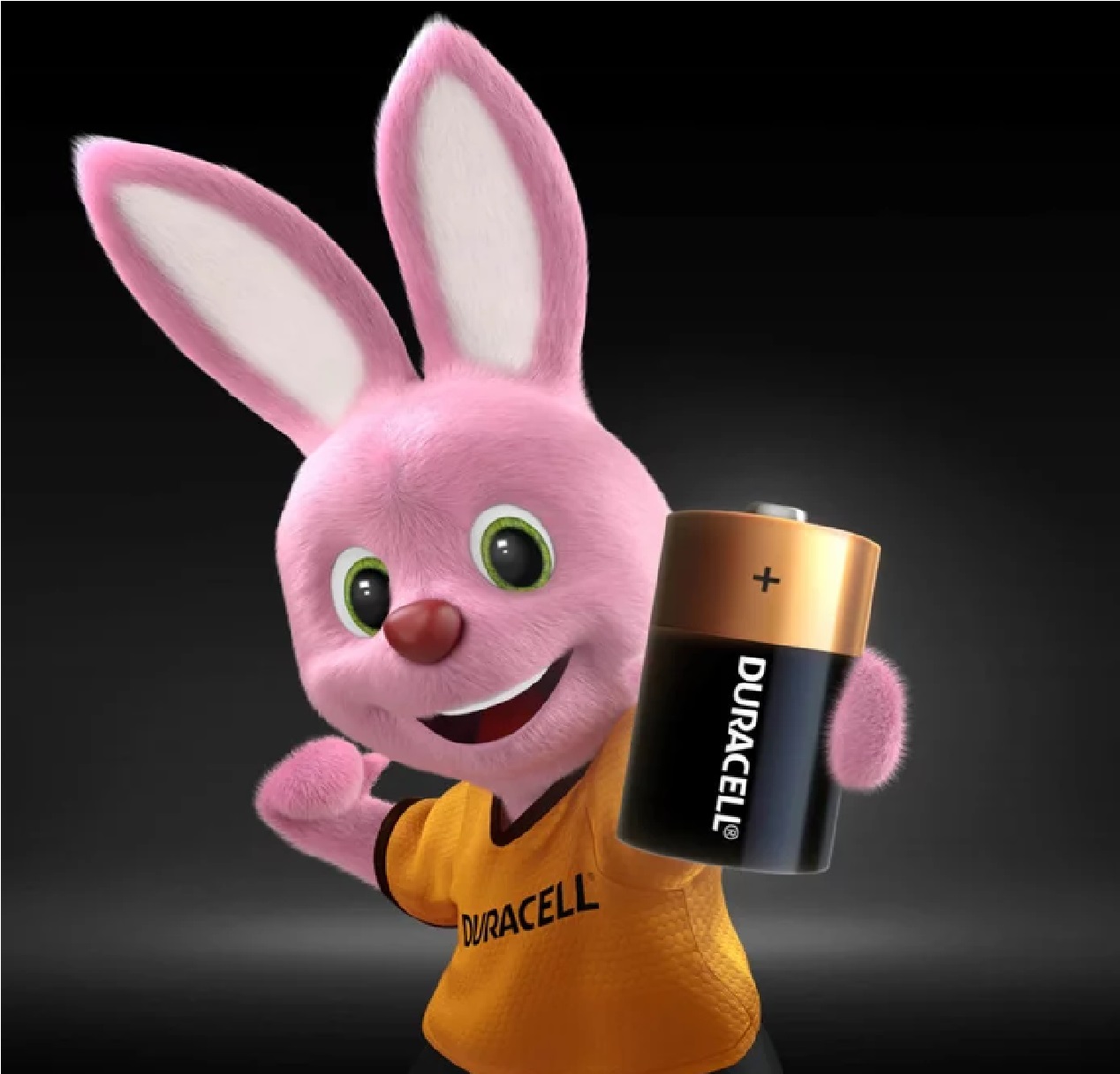 Pilha Alcalina AAA, com 2 Unidades Duracell