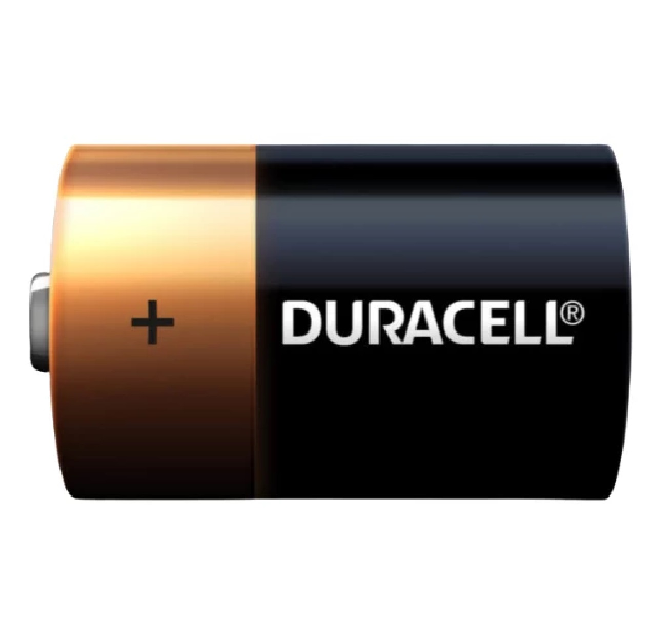 Pilha Alcalina Duracell Tamanho D 1,5 V com 2 Unidades