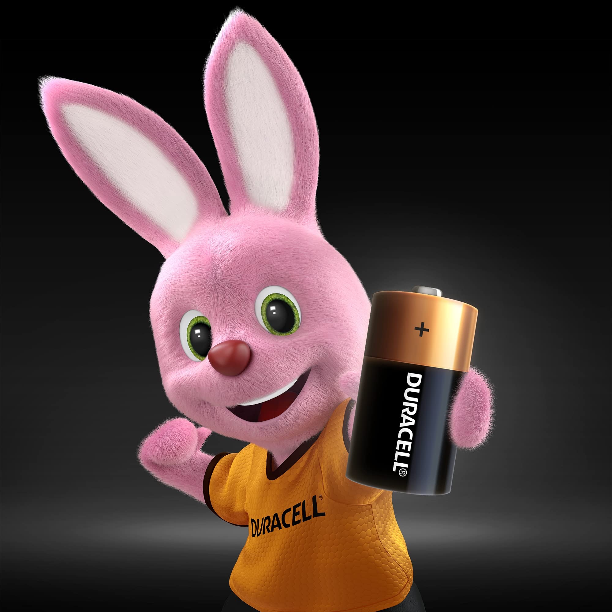 Pilha Alcalina Duracell Tamanho C 1,5 V com 2 Unidades