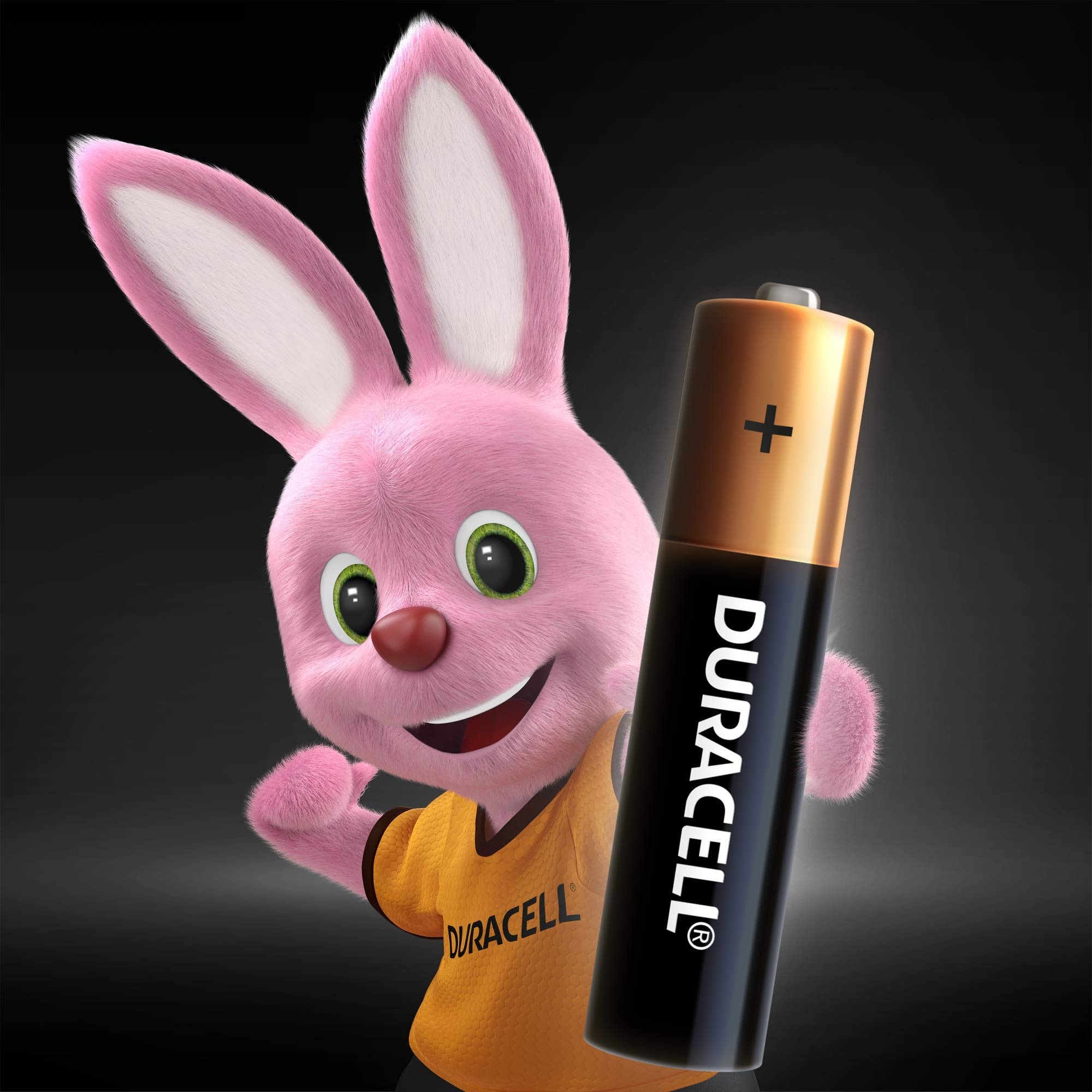 Pilha Alcalina AAA com 4 Unidades Duracell