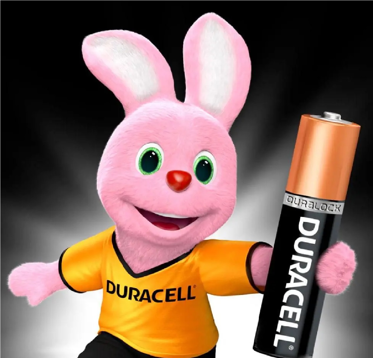 Pilha Alcalina AAA com 4 Unidades Duracell