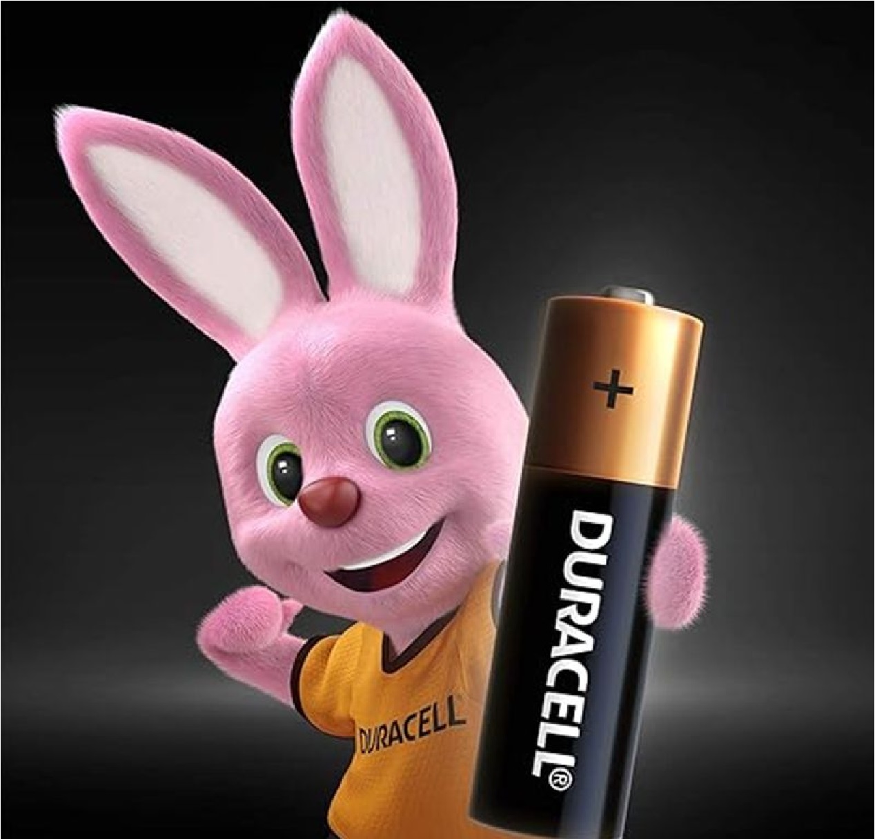 Pilha Alcalina 12 V, com 2 Unidades Duracell