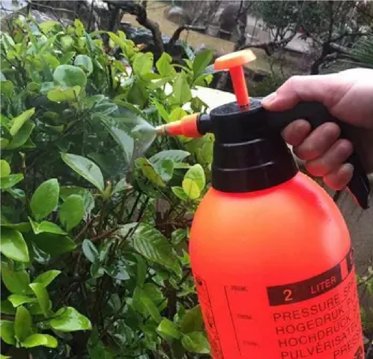 Pulverizador De Compressão Prévia 2 L Foxlux F88.02