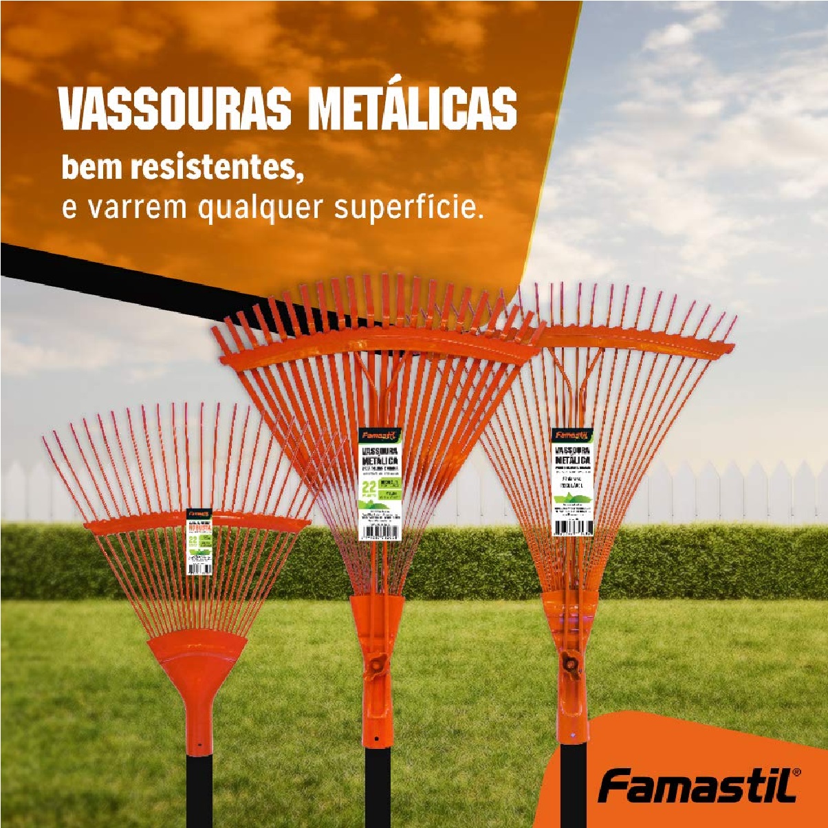 Vassoura Metalica 22 Dentes Arame Fixa C/cabo Foxlux F80.05