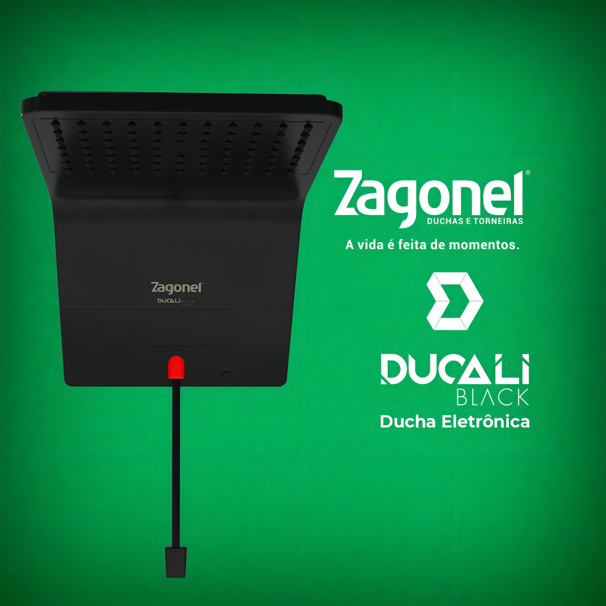 Ducha Chuveira Ducali Eletrônica 7500 W 220 V Black Preto Zagonel