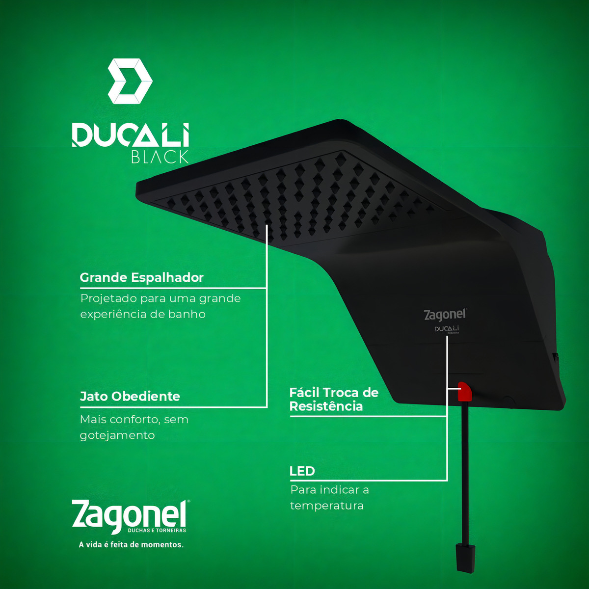 Ducha Chuveira Ducali Eletrônica 7500 W 220 V Black Preto Zagonel